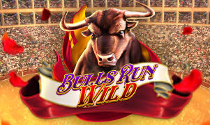 123win58 Bulls Run Wild